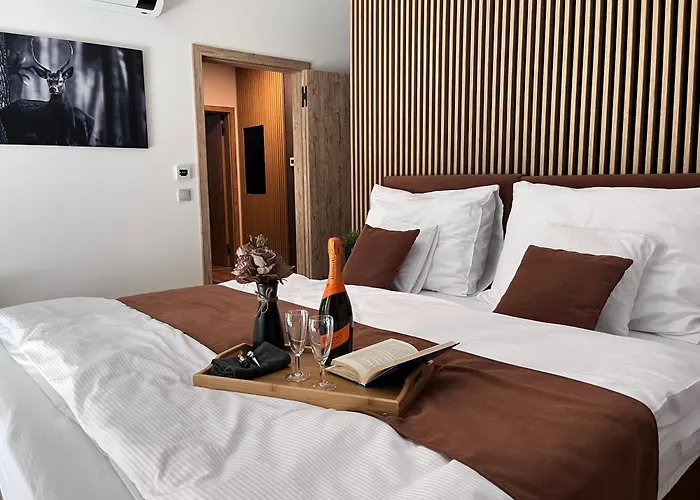Apartman Herlikovice 303